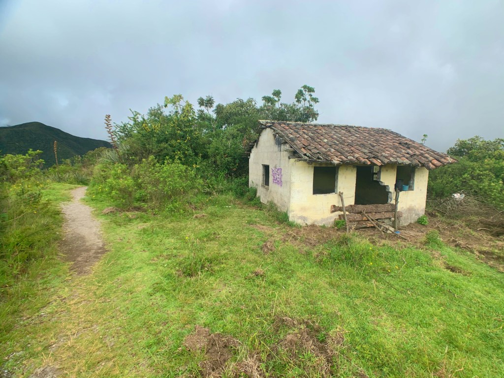 cuicocha-crater-pigs