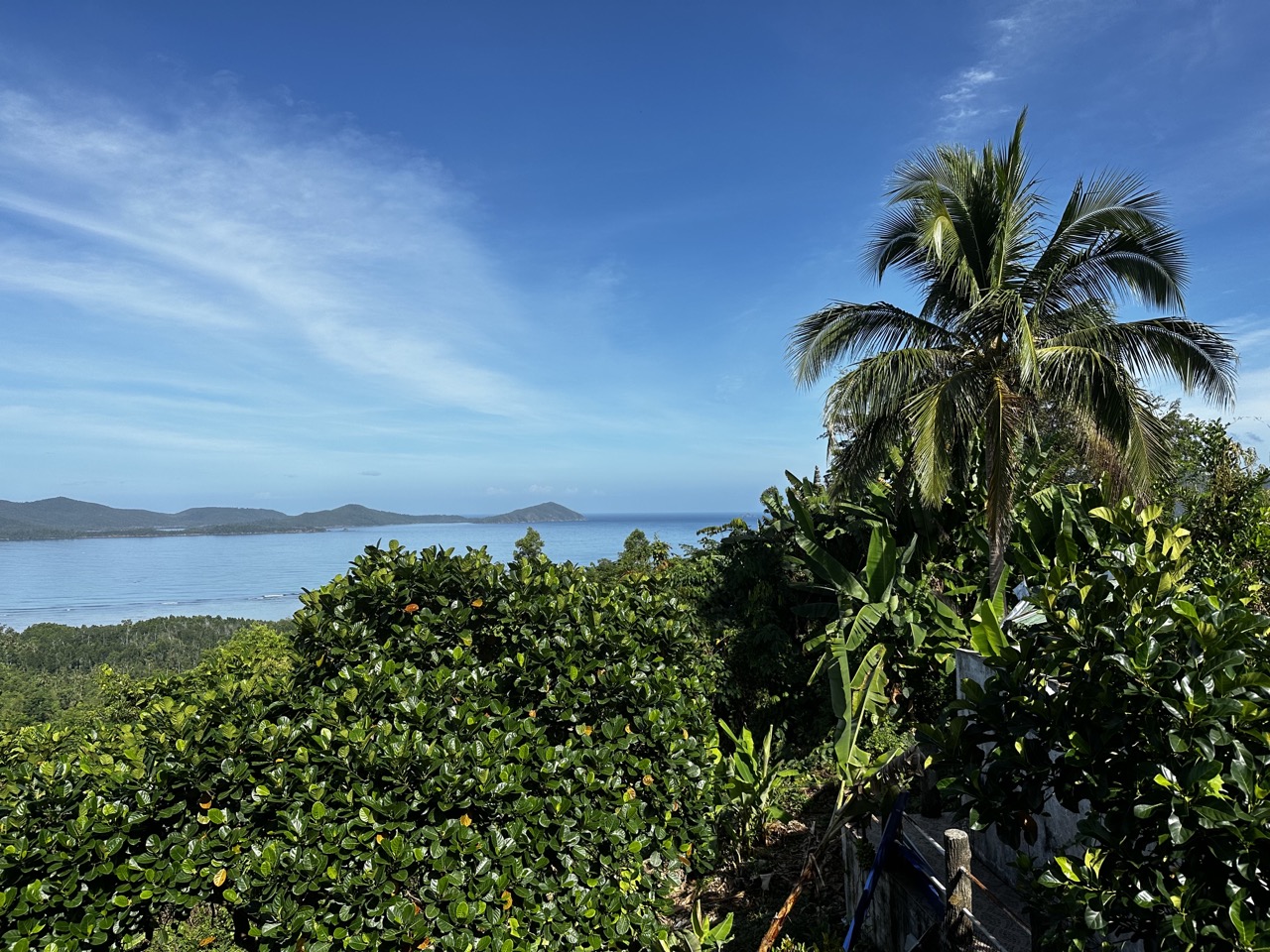 photo-of-palm-trees-and-blue-ocean-from-viewpoint-on-way-to-sabang-underground-river